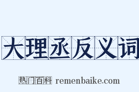 大理丞反义词是什么意思的图片